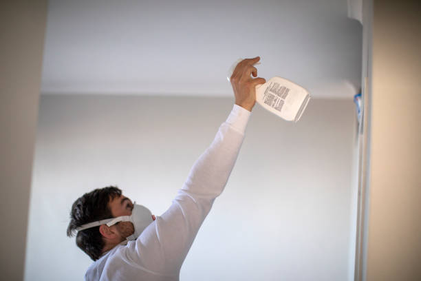 Trusted Savannah, GA Mold Removal Experts
