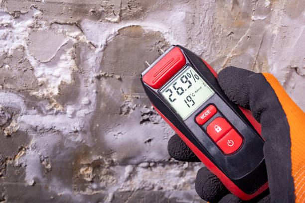 Best Local Mold Removal Service  in Savannah, GA