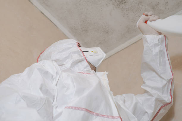 Water Damage Restoration in Savannah, GA