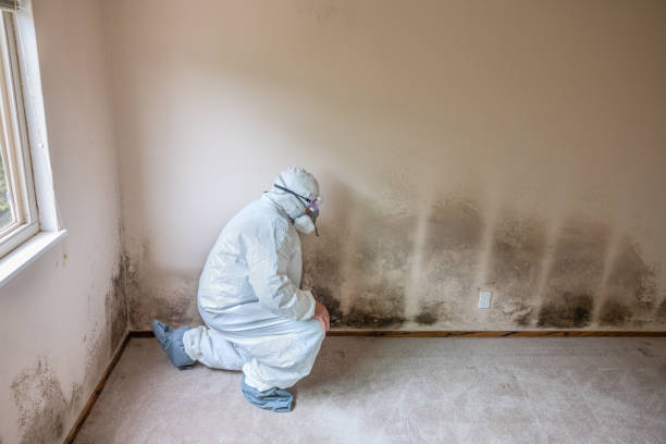 Best Mold Testing  in Savannah, GA
